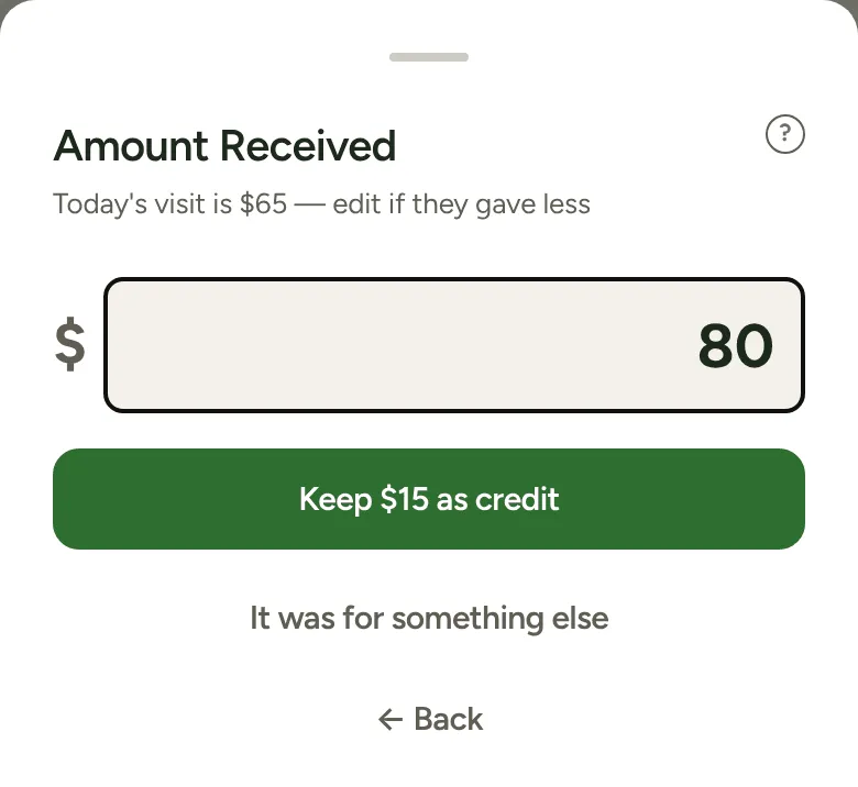 Amount Received with $80 typed: Keep $15 as credit, and It was for something else